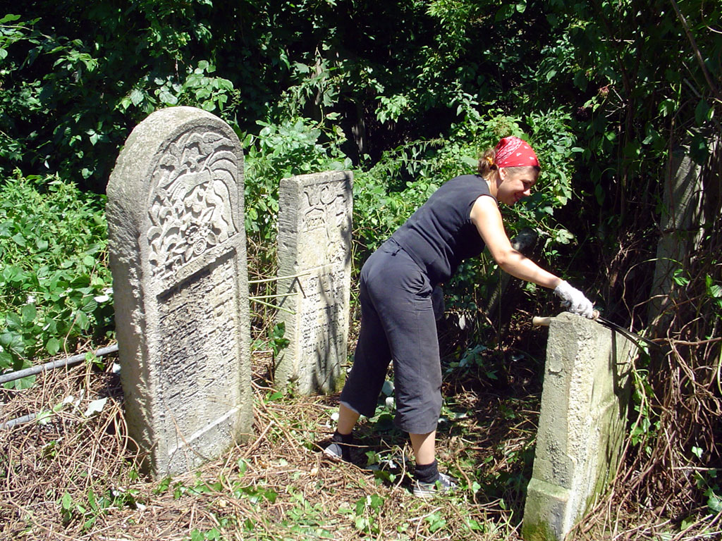Work-camp in Chernivtsi 2008