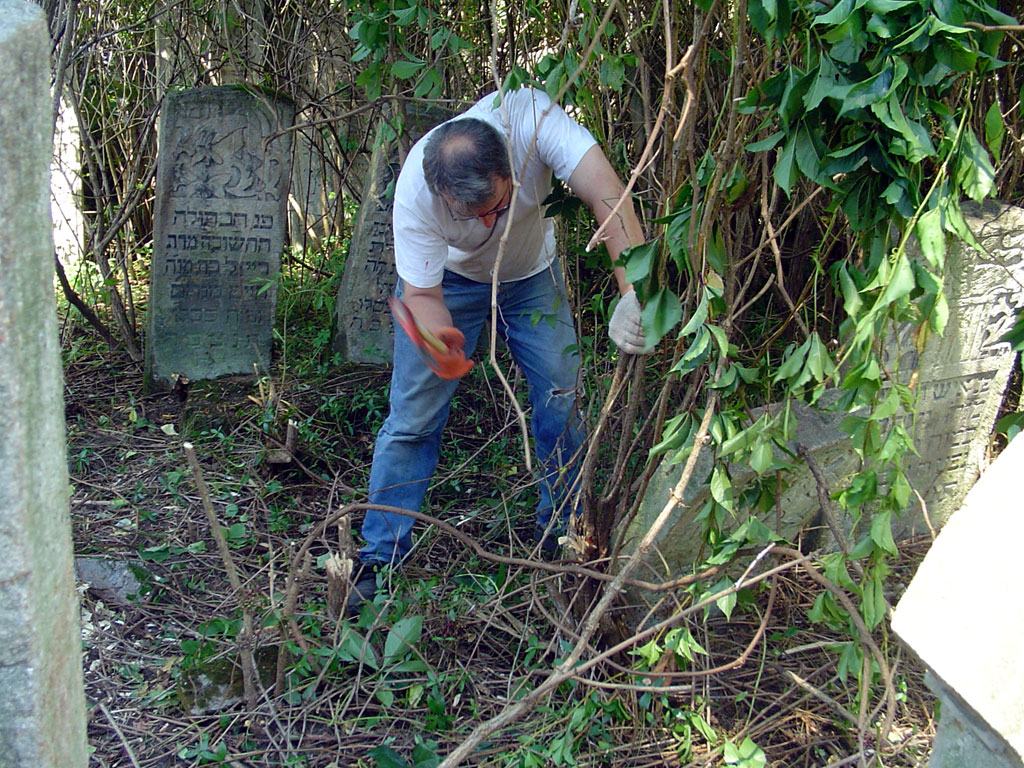 Work-camp in Chernivtsi 2008