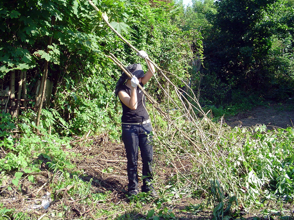 Work-camp in Chernivtsi 2008