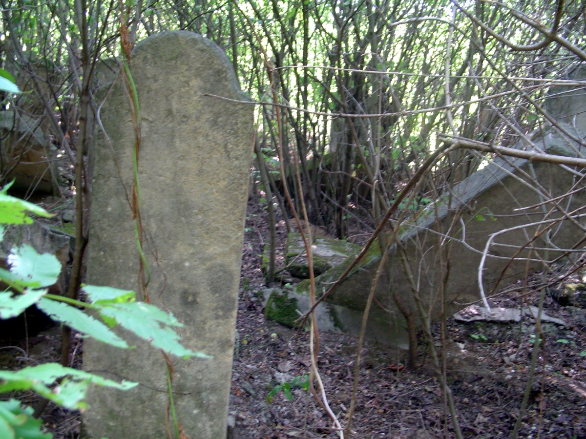 A section of the Czernowitz Jewish cemetery before clearing