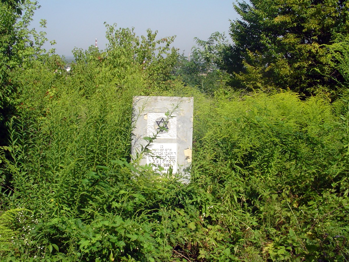 Vegetation re-grows quickly after clearing