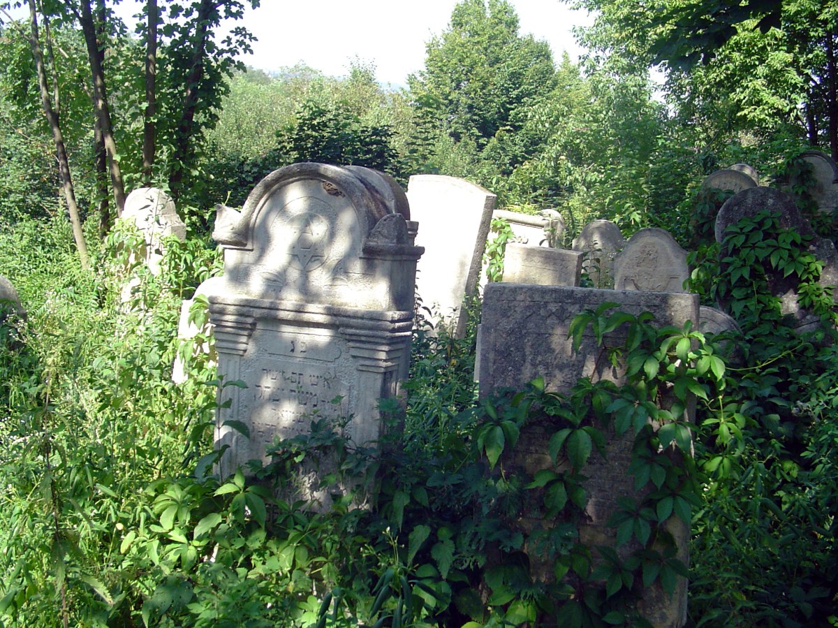 Vegetation re-grows quickly after clearing