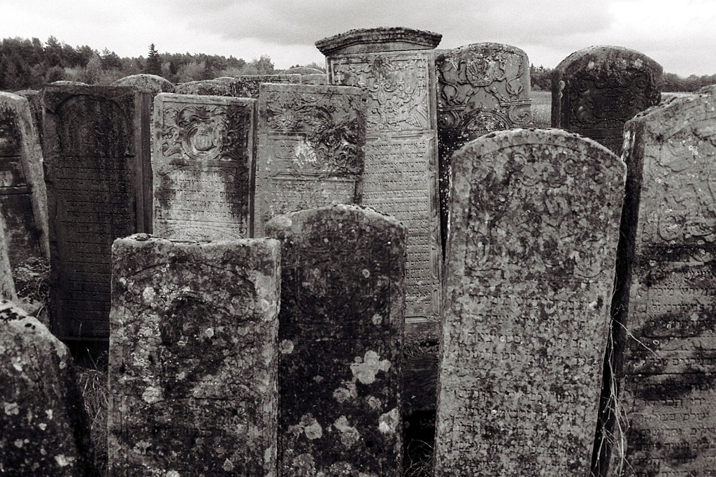 Brody, Jewish cemetery