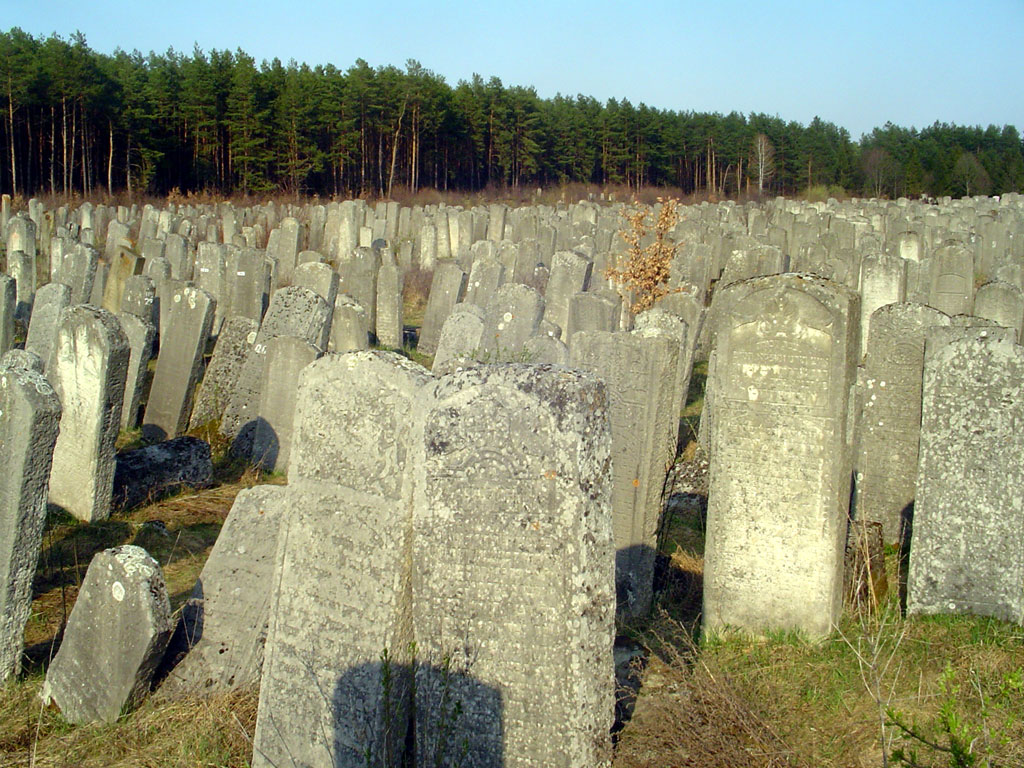 Brody - Jewish cemetery