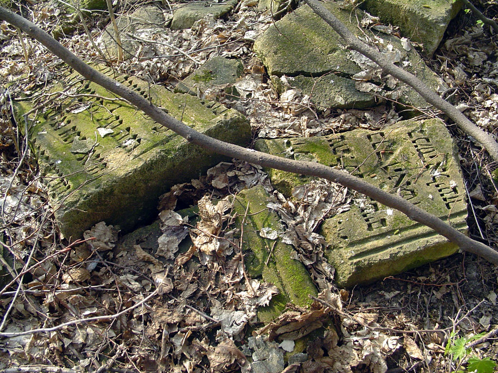 Rohatyn - new cemetery