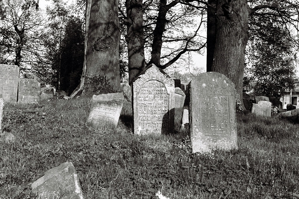 Bolekhiv - Jewish cemetery