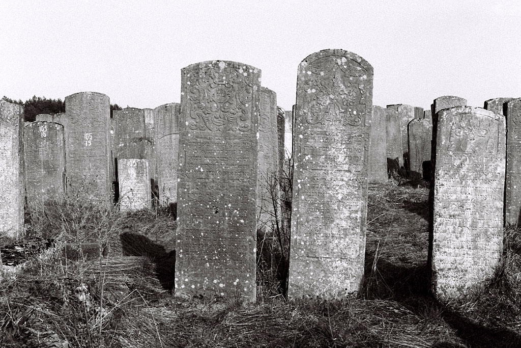 Brody - Jewish cemetery