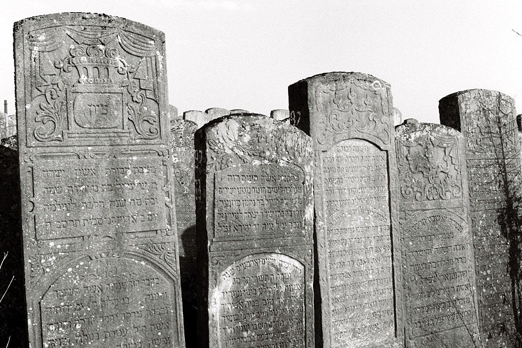 Brody - Jewish cemetery