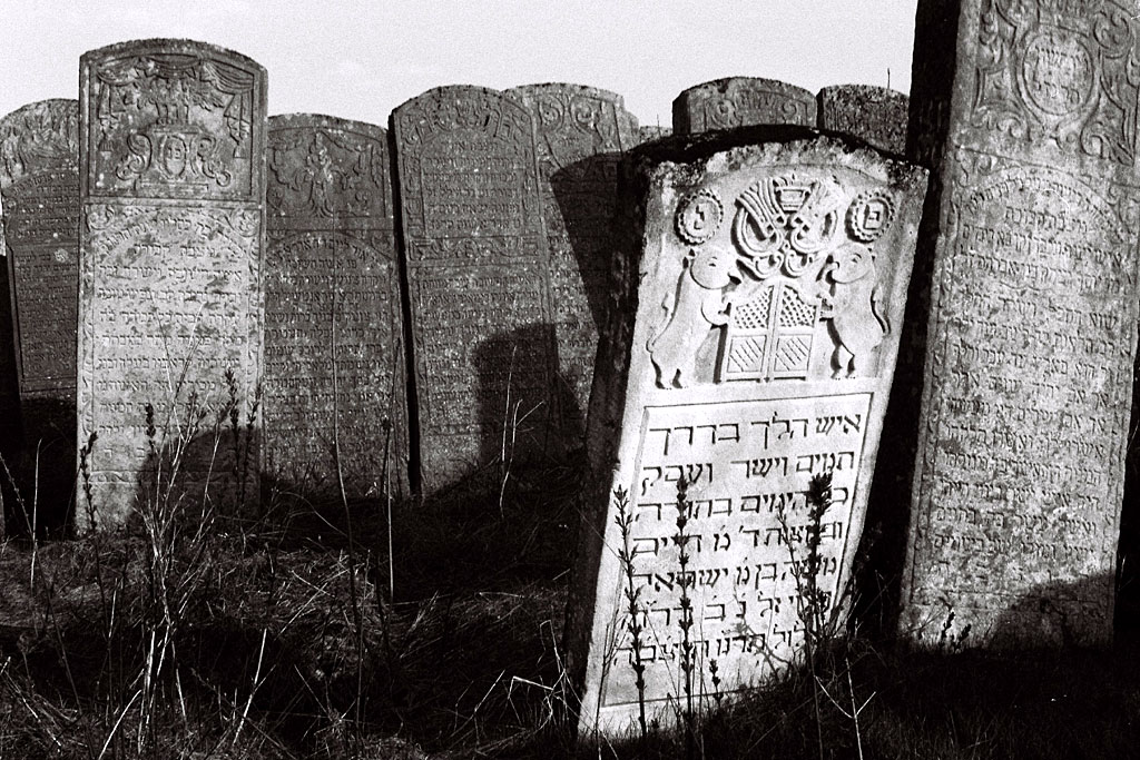 Brody - Jewish cemetery