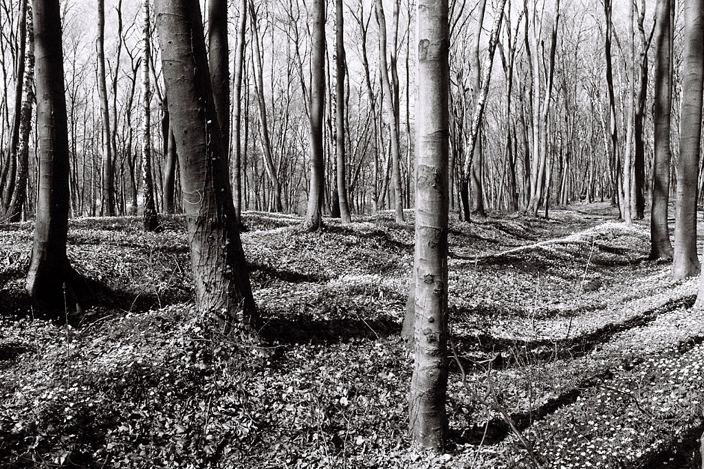 Lysynychi - mass grave site