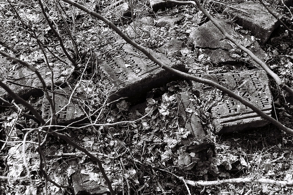 Rohatyn - new Jewish cemetery