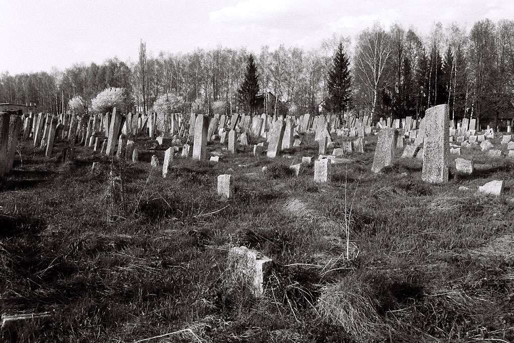 Sadagora - Jewish cemetery