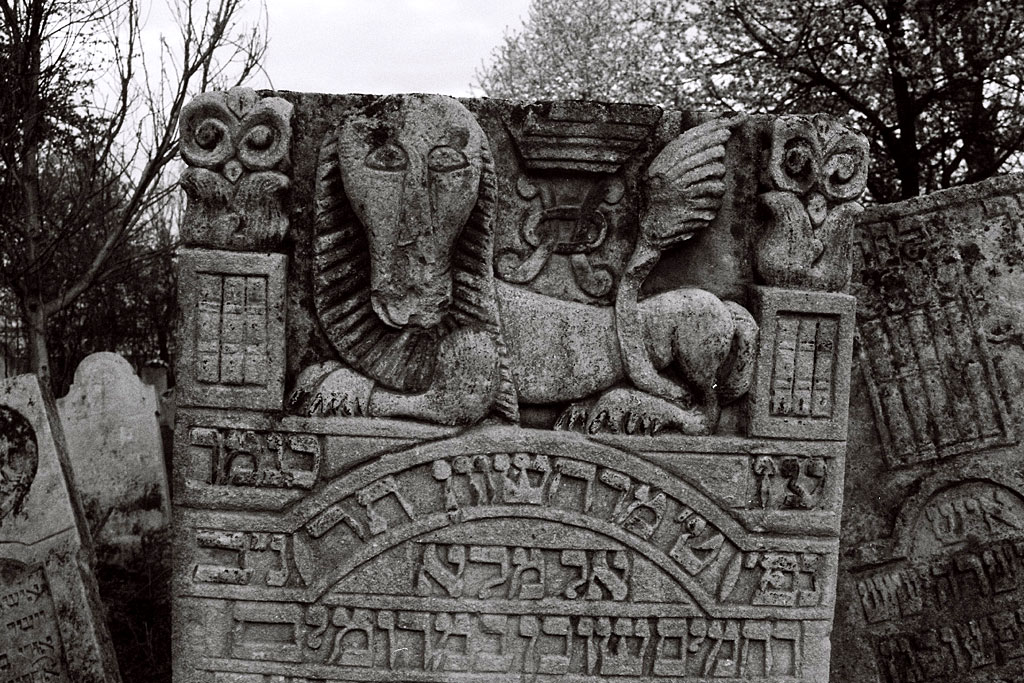 Vashkivtsi - Jewish cemetery