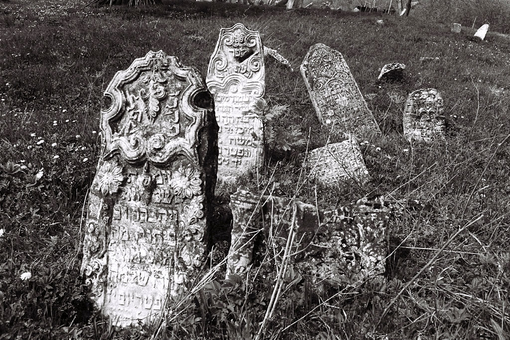 Yabloniv - Jewish cemetery