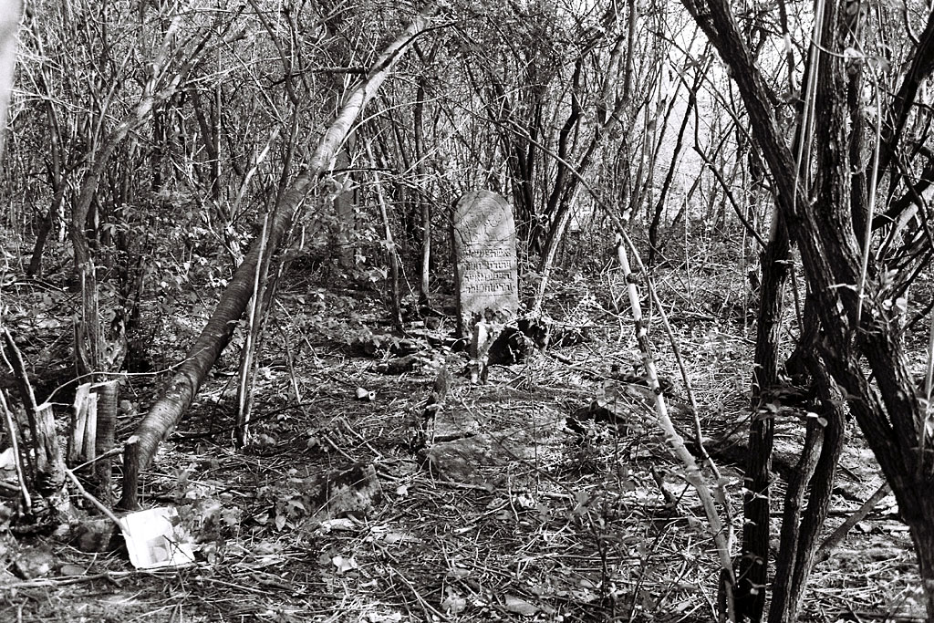 Zabolotiv - Jewish cemetery
