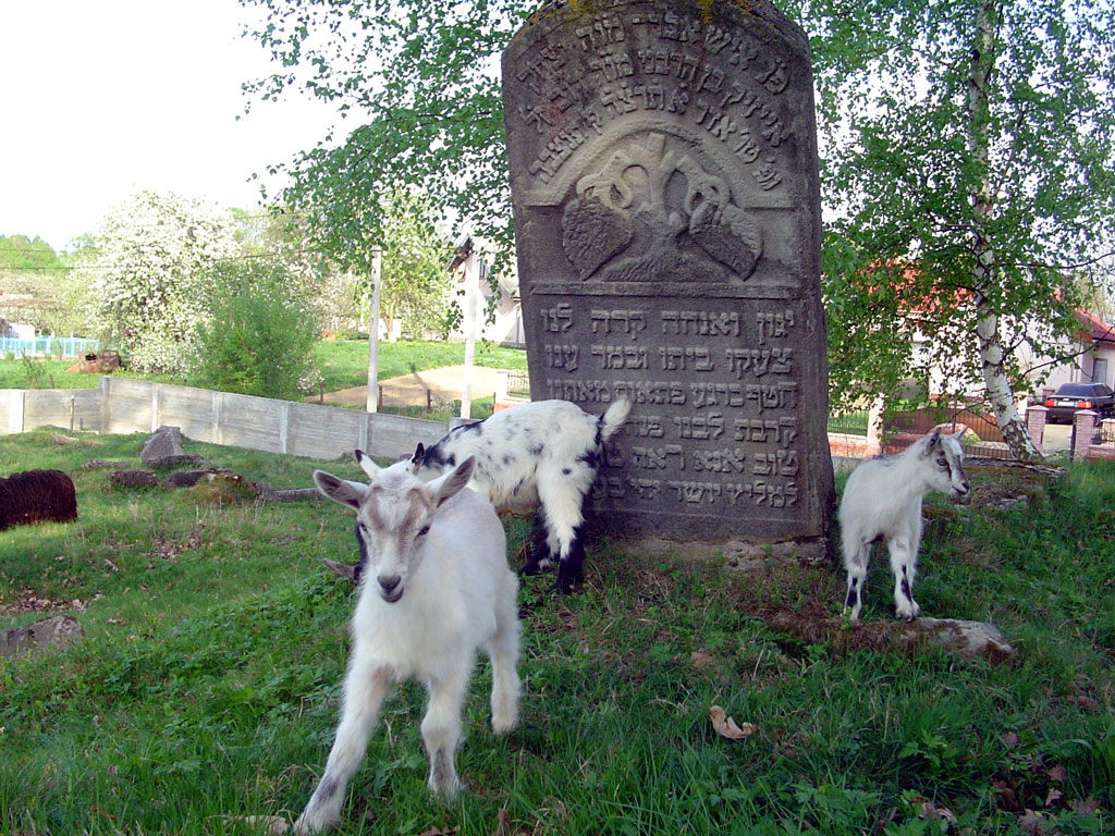 Bolechiv - Jewish cemetery