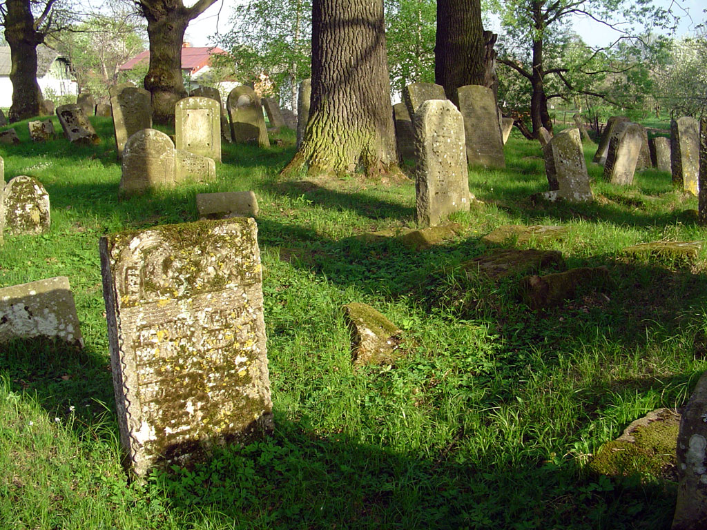 Bolechiv - Jewish cemetery