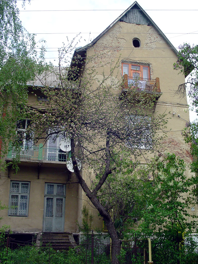 Drohobych - Villa Landau