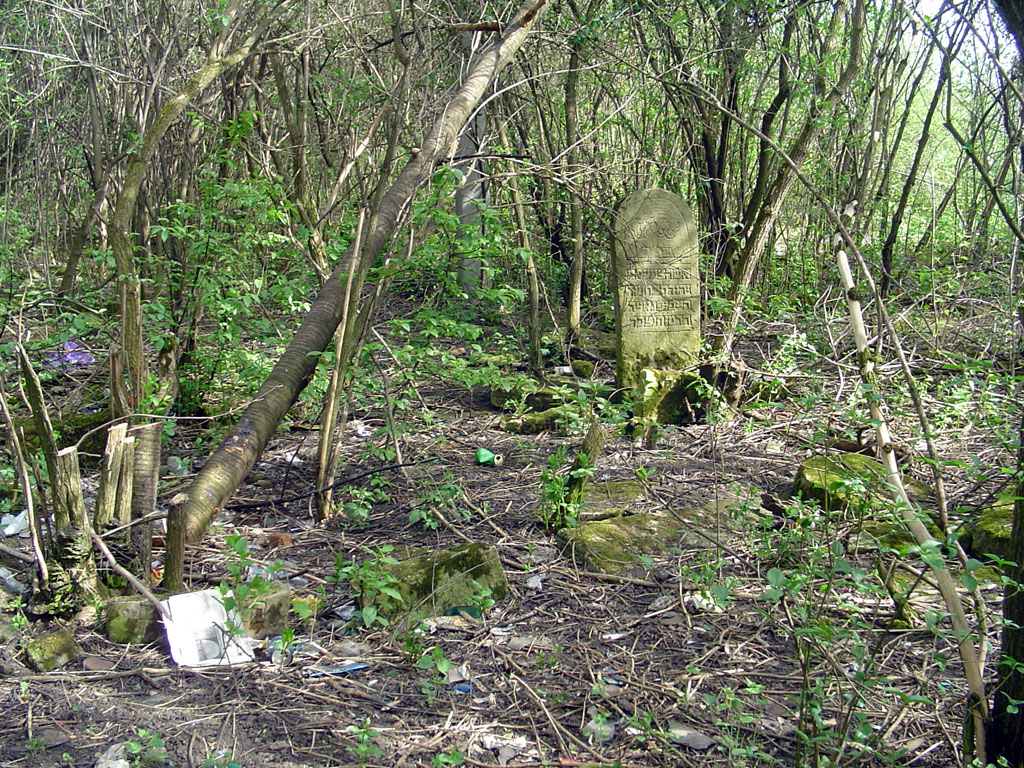 Zabolotiv - Jewish cemetery