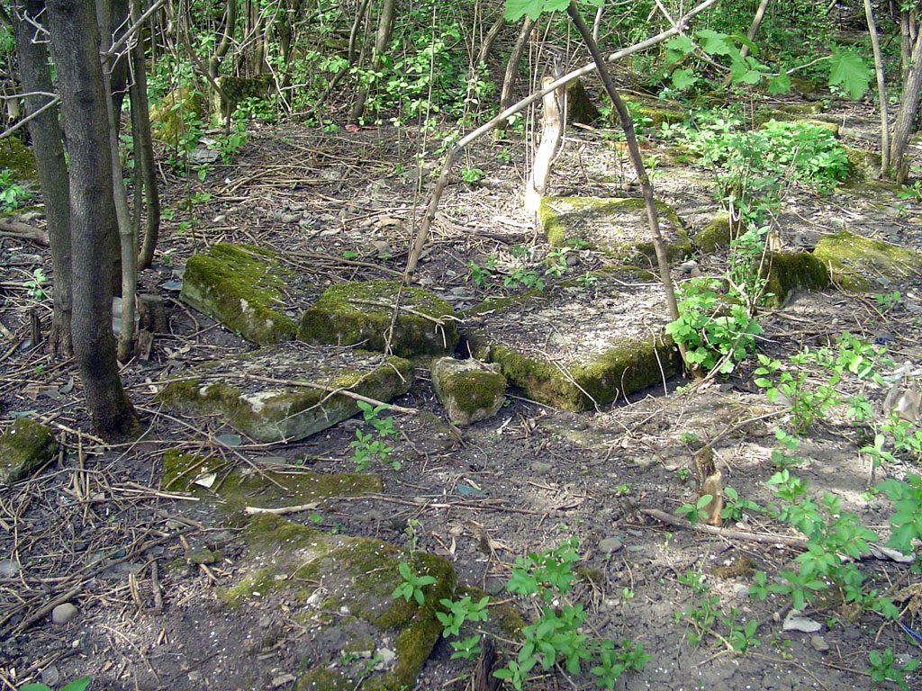 Zabolotiv - Jewish cemetery