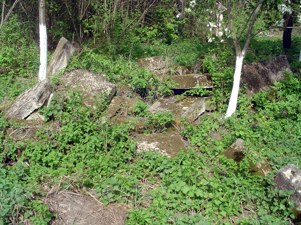 Zabolotiv - Jewish cemetery