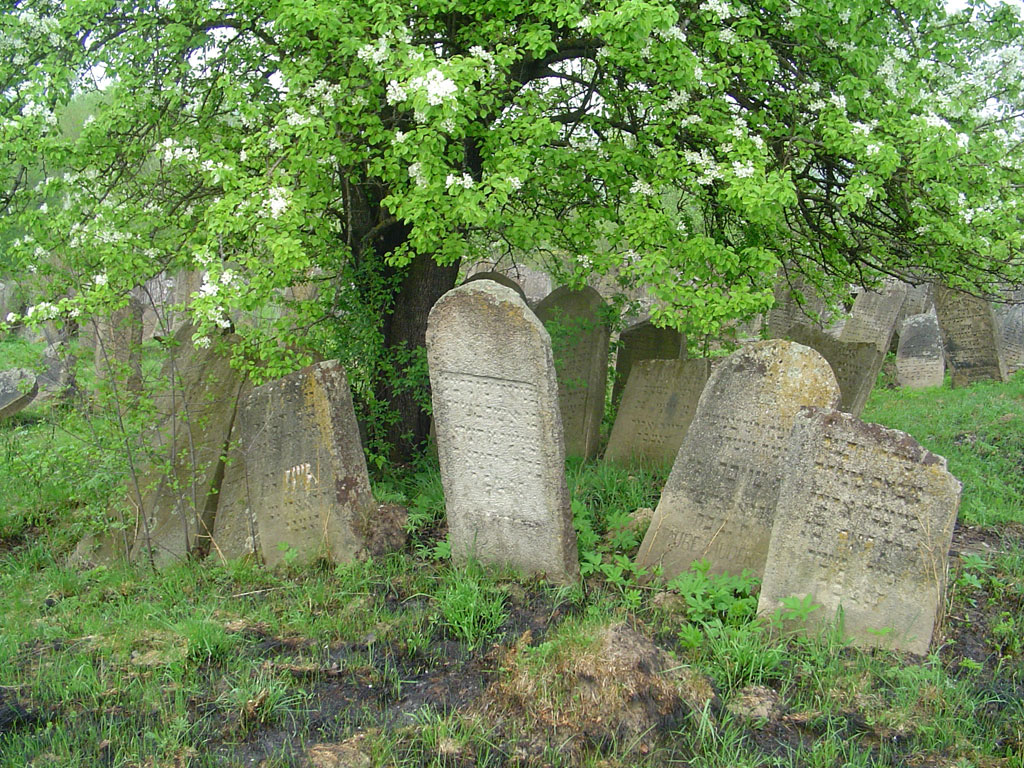 Solotvyn - Jewish cemetery