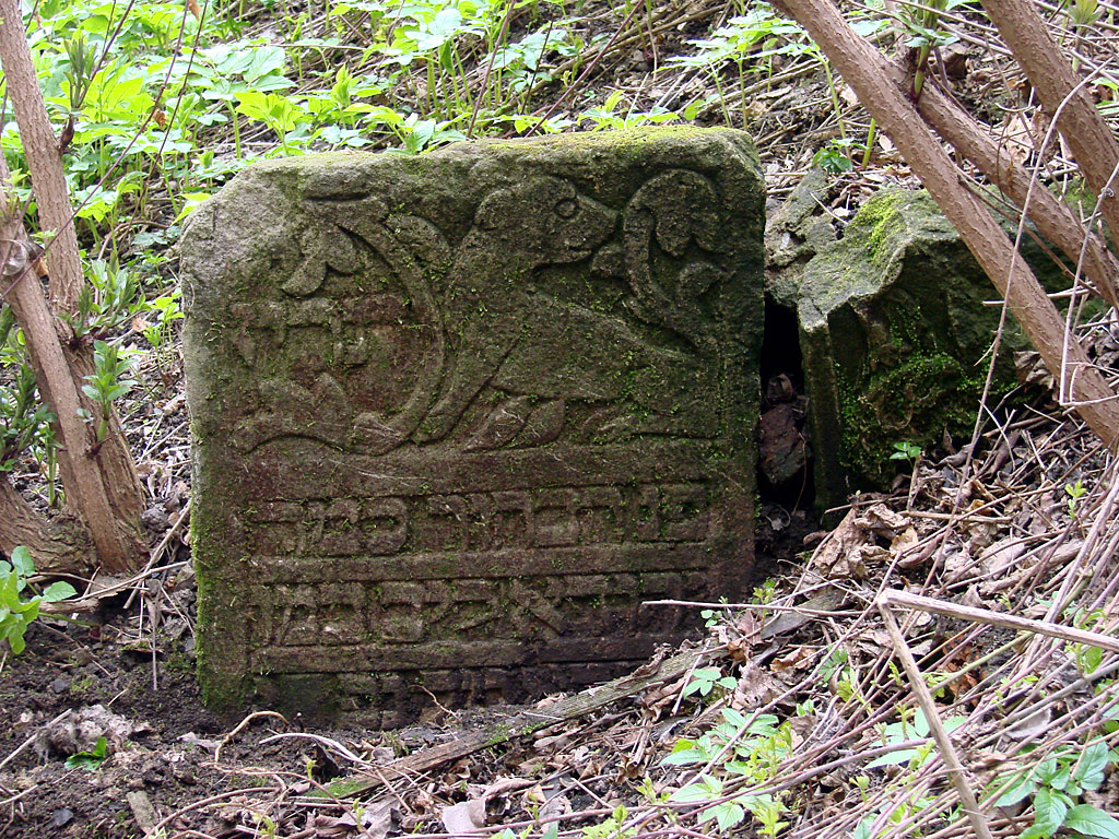 Czernowitz old Jewish cemetery, grave stones, © Mykola Kushnir