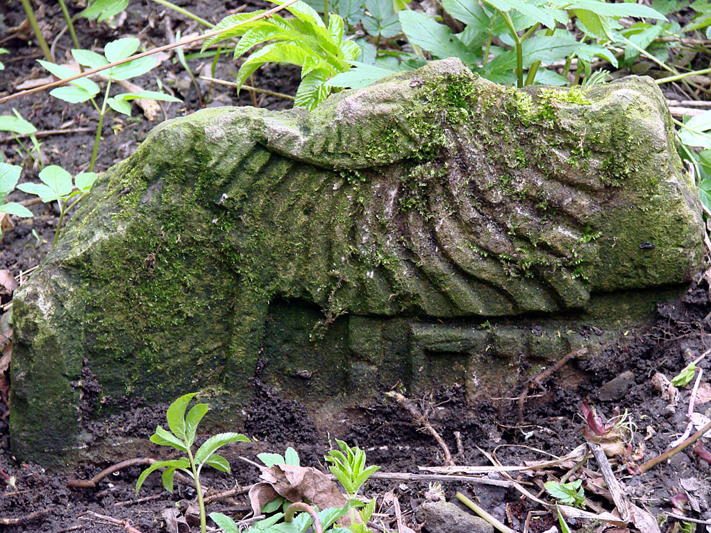 Czernowitz old Jewish cemetery, fragment of a grave stone, © Mykola Kushnir