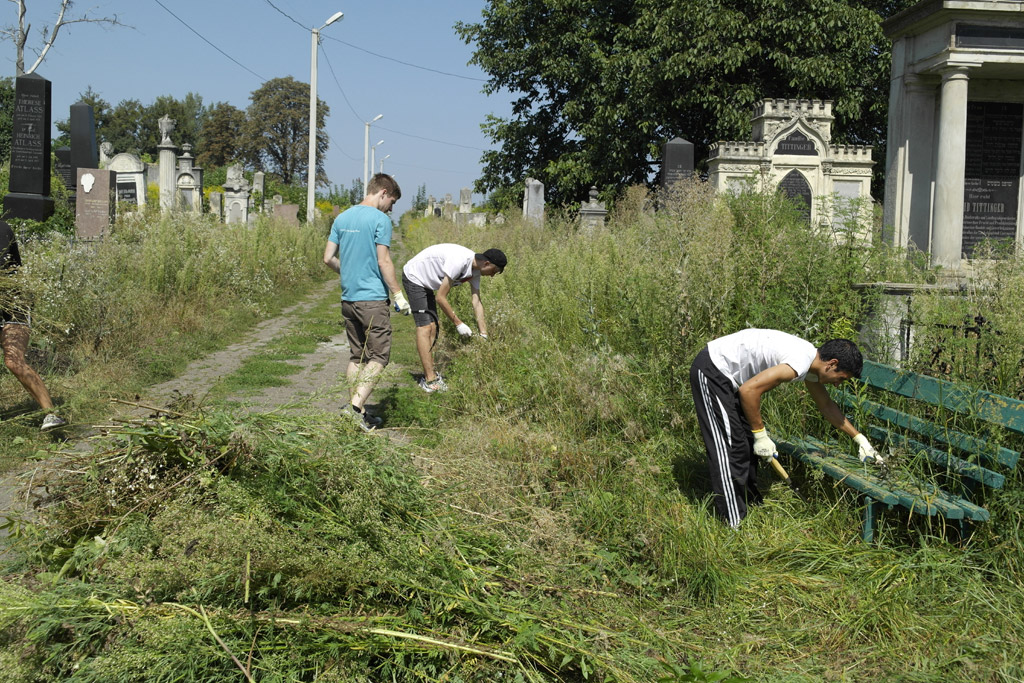 volunteers at the ceme