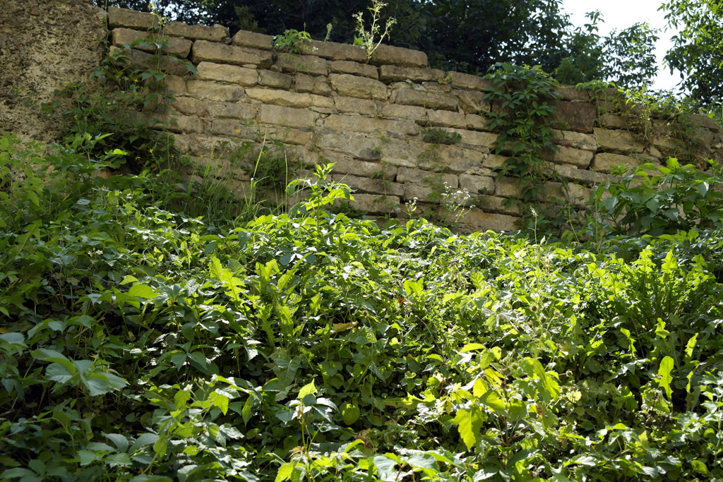 Czernowitz - old Jewish cemetery