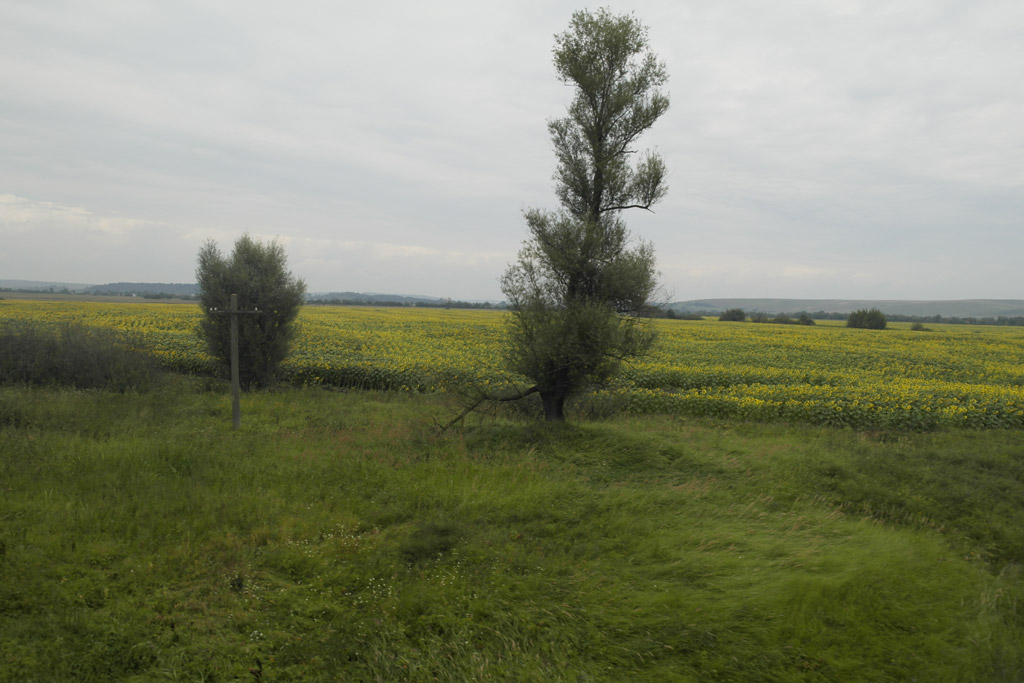 Train through Galicia