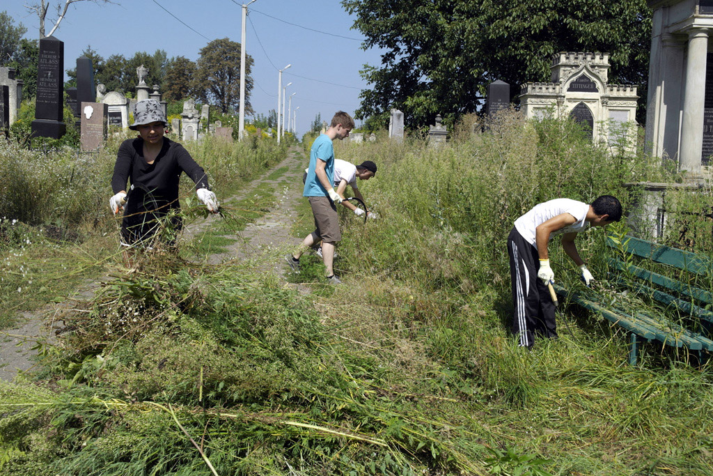 Volunteers working