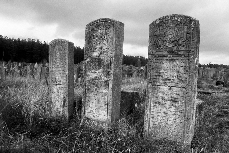 Brody, Jewish cemetery, October 2012