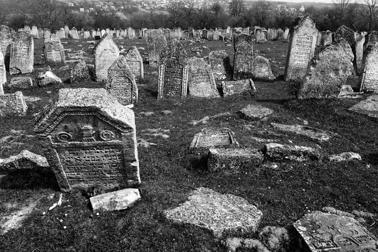 Pidhaitsi, Jewish cemetery, April 2013