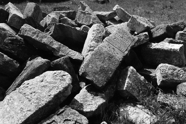 Ivano-Frankivsk, Jewish cemetery, May 2013