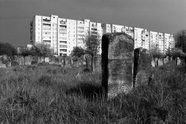 Kalush, Jewish cemetery, May 2013
