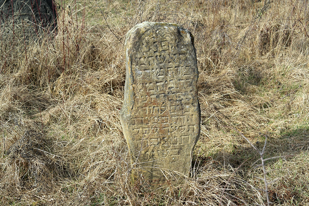 Staryi Sambir - Jewish cemetery
