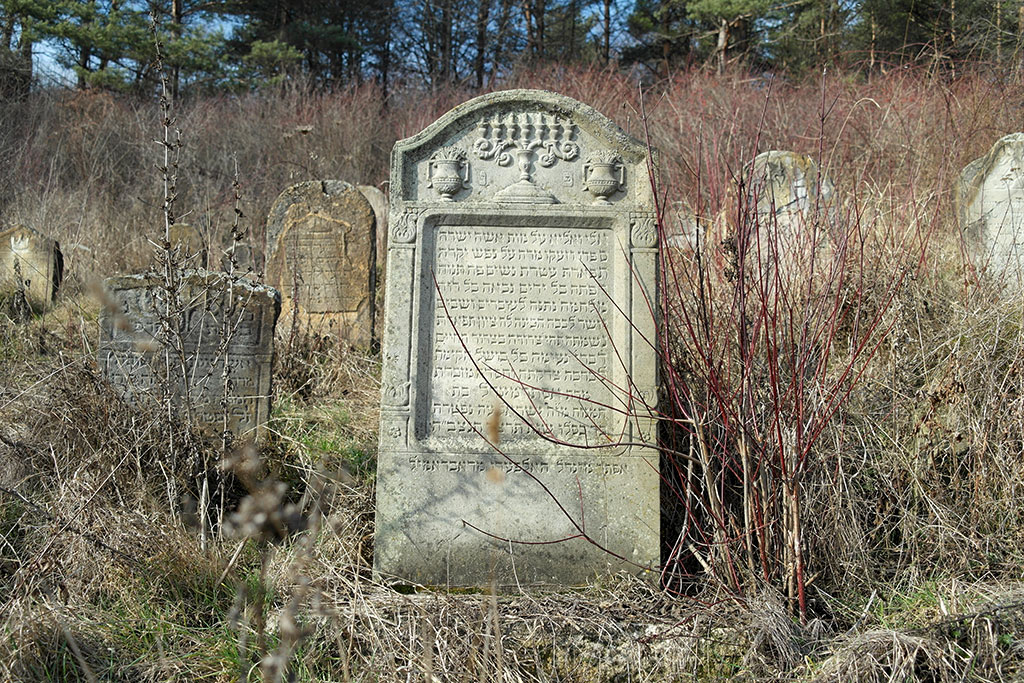 Staryi Sambir - Jewish cemetery