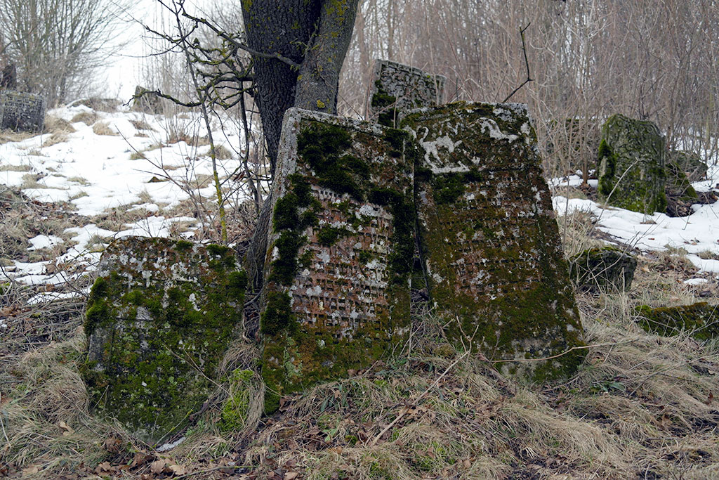 Sataniv - Jewish cemetery