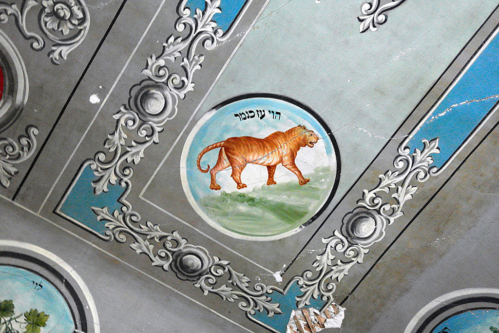 Novoselitsa - synagogue