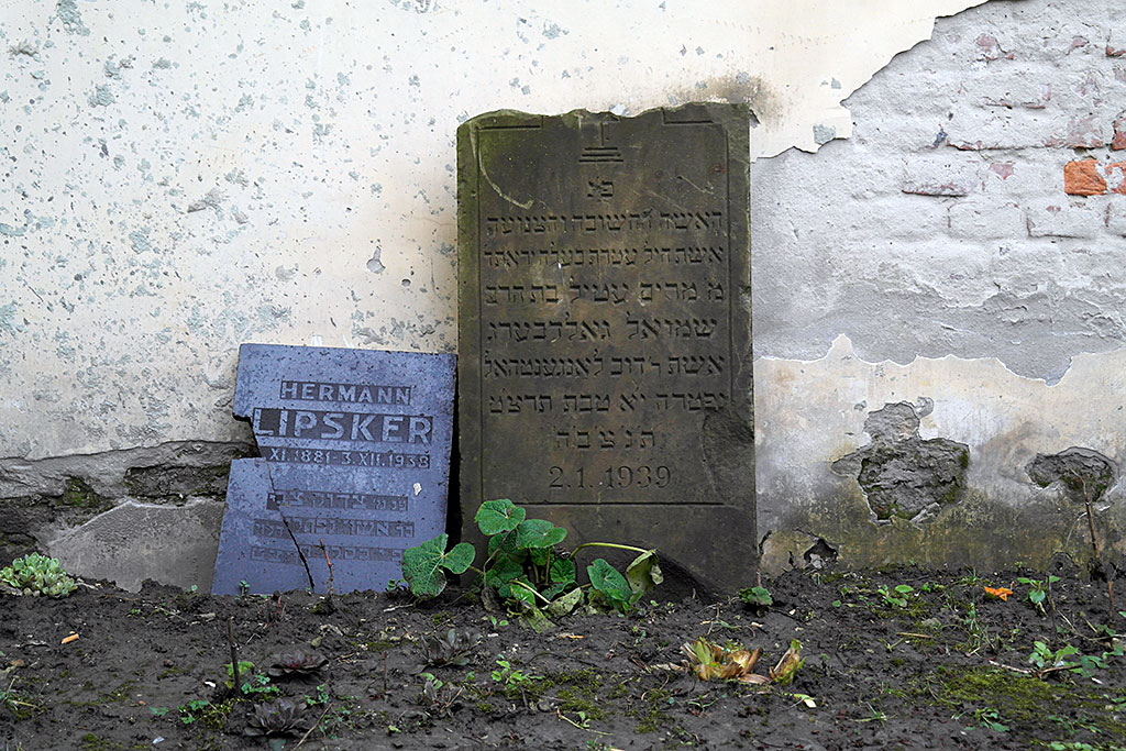 Tsori Gilod (Healing Balm) Synagogue