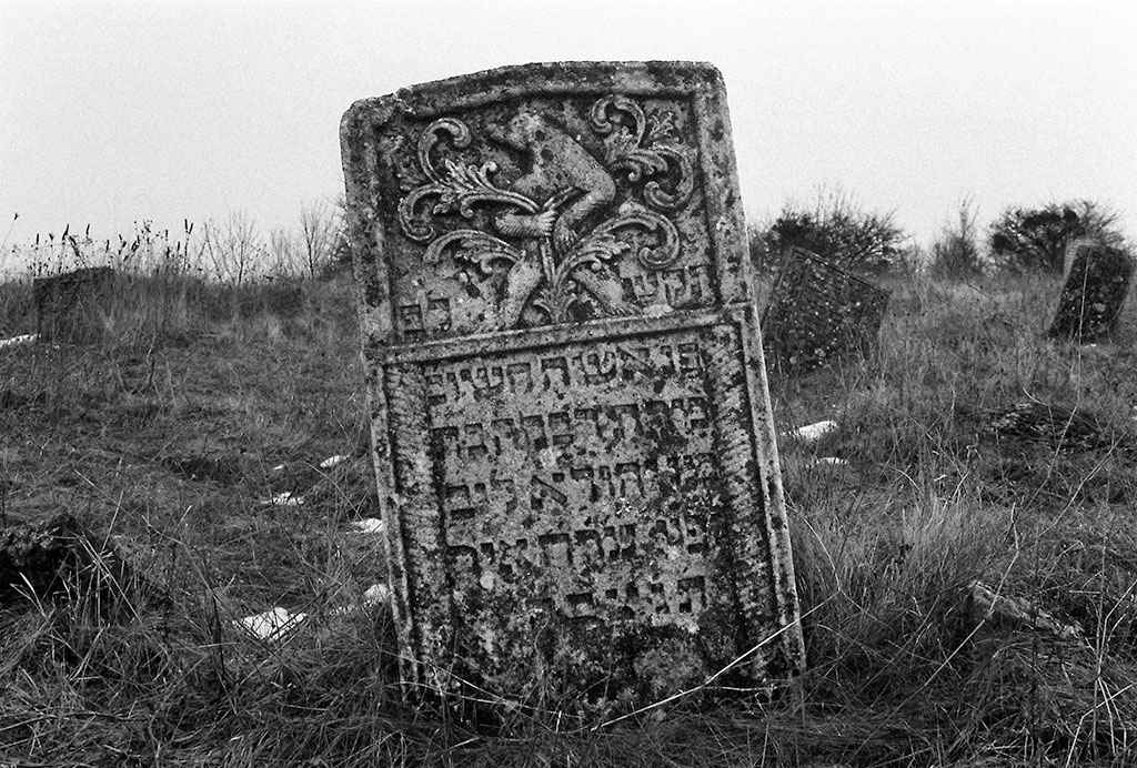 Sataniv, Jewish cemetery