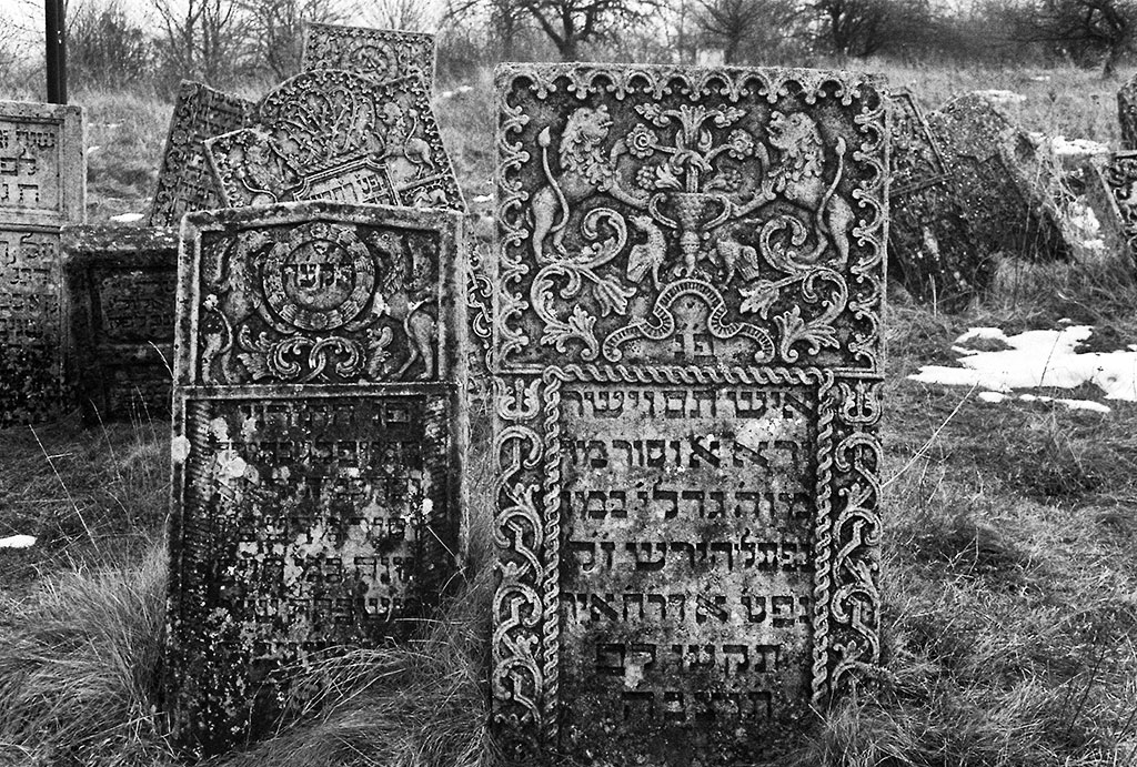 Sataniv, Jewish cemetery