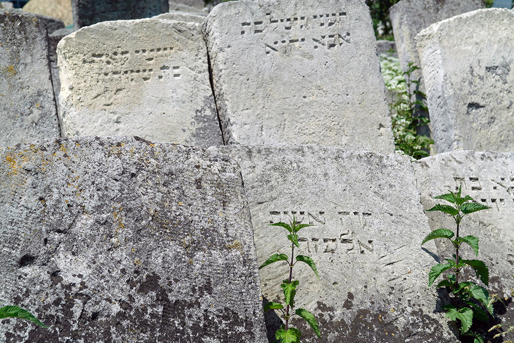 Burshtyn - Jewish cemetery