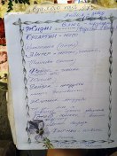 Stefania's list