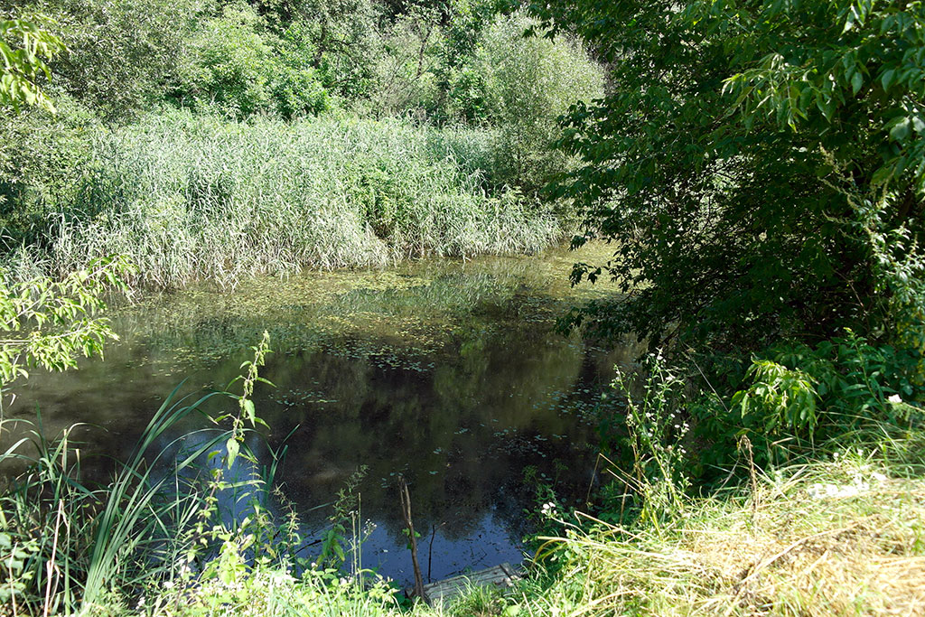 Janowska concentration camp site