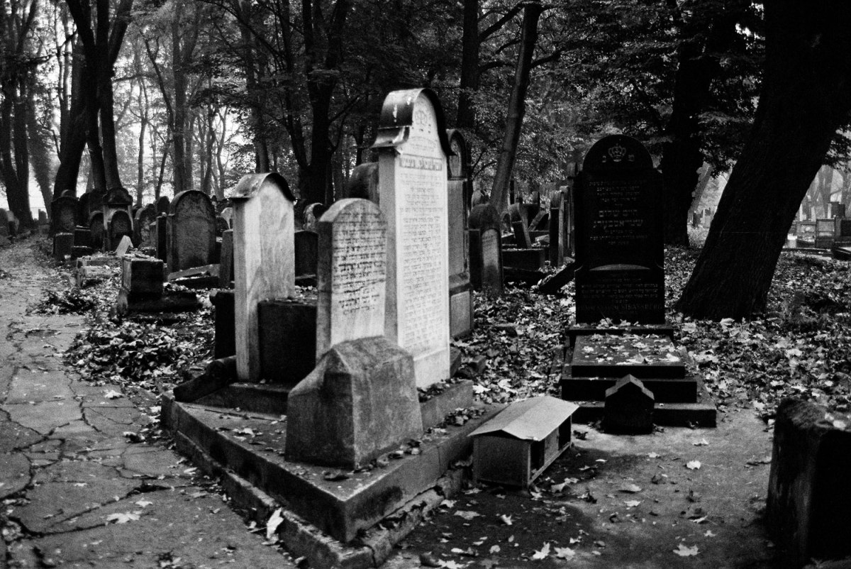 Krakow - New Jewish Cemetery