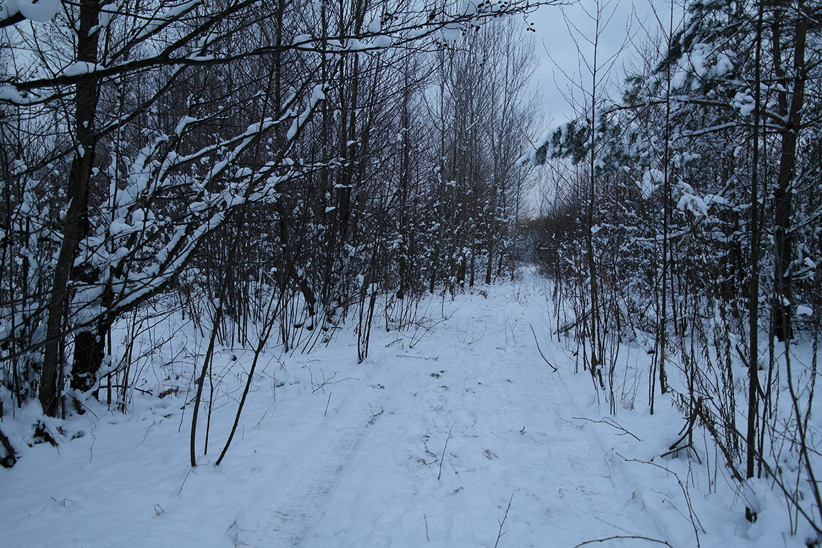 On the way to Trochenbrod