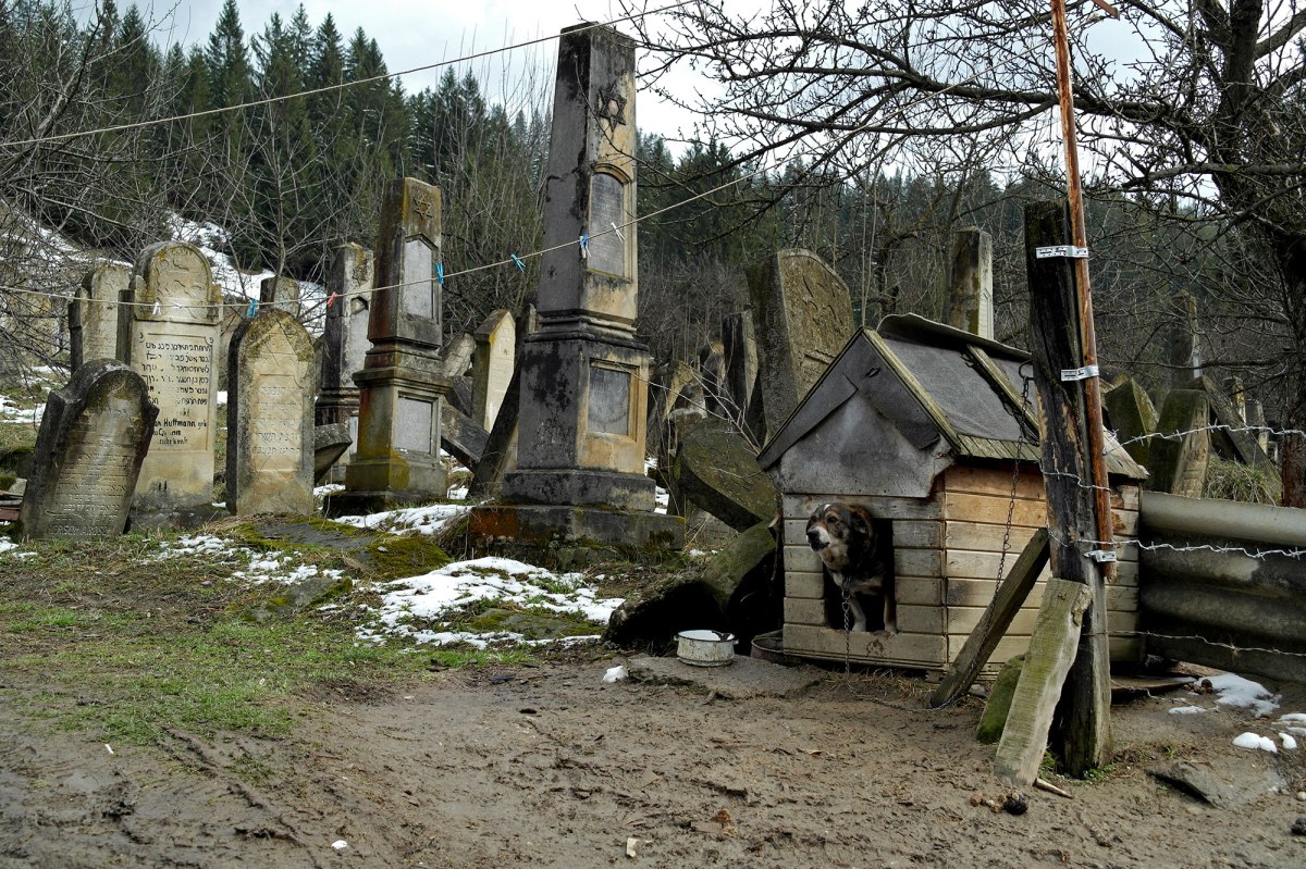 Gura Humorului - Jewish Cemetery