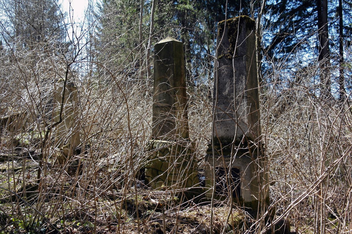 Vatra Dornei - Jewish cemetery